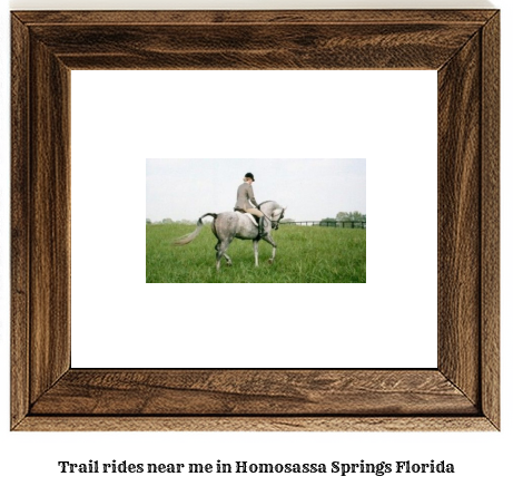 trail rides near me in Homosassa Springs, Florida